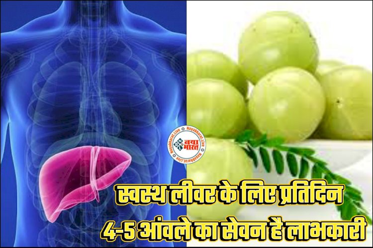 Healthy Liver Tips: स्वस्थ लीवर के लिए प्रतिदिन 4-5 आंवले का सेवन है लाभकारी... विटामिन-सी लीवर की कार्यक्षमता बढ़ाने में सहायक... संकेत जो करते हैं लिवर में हो रही गड़बड़ी की ओर इशारा... न करें इसे इग्नोर.....