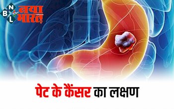 Stomach Pain : पेट में दिखने वाले इन लक्षणों को न करें नजरअंदाज, ये है संकेत और लक्षण पेट के कैंसर का...देखे पूरा डिटेल्स...