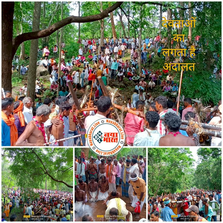 CG अनोखी परंपरा VIDEO : आदिकालों से चली आ रही परपंरा ,छत्तीसगढ़ की इस अदालत में लगती है देवी-देवताओं की क्लॉस, तत्काल फैसला सुनाकर मिलती है दोषी को सजा ,भक्ति का उमड़ पडता है जन सैलाब, सम्मिलित होते हैं सात परगना…पढ़िए पूरी खबर,देखे विडियो….