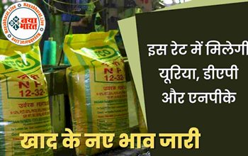 UREA DAP: DAP खाद के नये भाव जारी ! अब इस रेट में मिलेगी यूरिया, डीएपी और एनपीके खाद की एक बोरी, यहां देखें नई डीएपी यूरिया दरें...