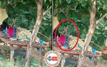 Shocking Video: पेड़ के नीचे सोई हुई महिला के ऊपर अचानक आ गया कोबरा, फिर क्या हुआ देखिए वीडियो...