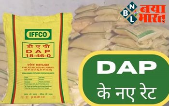 DAP RATE: अब DAP खाद खरीदने के नियमो में हुआ बड़ा बदलाव! नए नियम एवं दाम हुए जारी,जानिए कितनी में मिलेगी DAP...