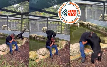 Chimpanzee consoled the man : चिंपैंजी ने रोते हुए शख्स को देख किया कुछ ऐसा, जिसे देख आप भी हो जायेंगे हैरान...