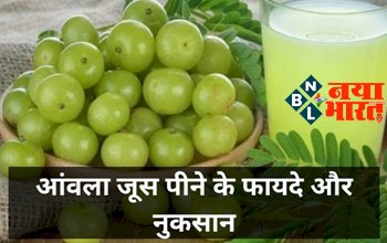 Amla Juice Benefits & Side Effects : सेहत के लिए फायदेमंद है आंवला, साथ ही जानिए इसके कुछ साइड इफेक्ट्स...