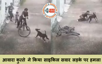 Dog Attack: आवारा कुत्ते ने किया साइकिल सवार लड़के पर हमला, विडियो देख छुट जायेंगे पसीने, देखे वायरल विडियो...