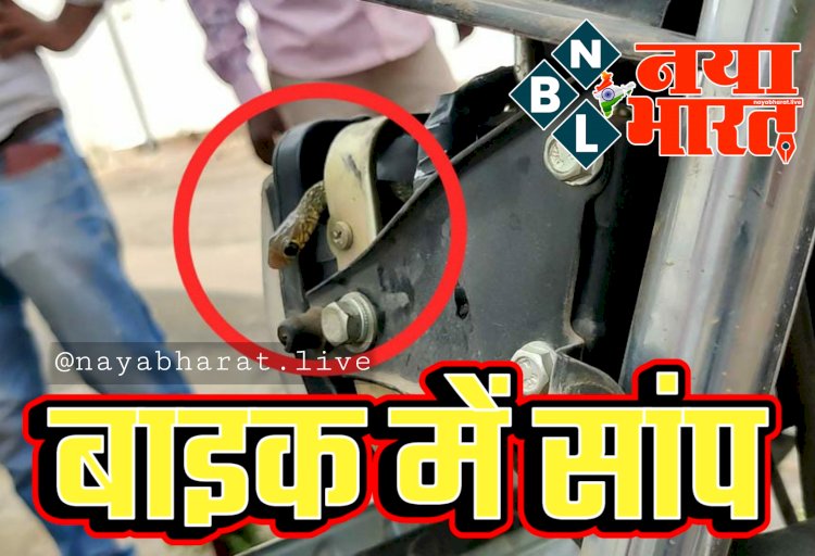 CG- बाइक में सांप VIDEO: एग्जाम दिलाने आए युवक के गाड़ी में घुसा सांप... देख दंग रह गए सभी... फिर जो हुआ... देखें वीडियो......