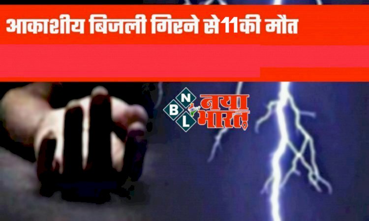 BIG NEWS- 11 लोगों की मौत: आकाशीय बिजली का कहर... वज्रपात से 11 लोगों की मौत... CM ने चार लाख की अनुग्रह राशि की घोषणा की... परिवार में छाया मातम.....