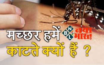 Mosquito Target : मच्छर किन लोगों को काटते हैं ज्यादा, जानिए क्या है ये 4 कारण...