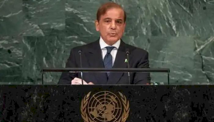 Pakistan News: कंगाल पाकिस्तान के सिर से नहीं उतर रहा कश्मीर का भूत, इमरान के बाद अब शहबाज शरीफ ने UN में उठाया मुद्दा.