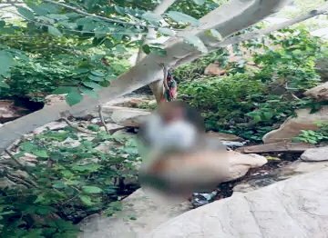 CG- छात्र की फांसी पर लटकी मिली लाश :स्टूडेंट ने उठाया खौफनाक कदम!...फंदे पर झूल गया 9 वीं का छात्र...शर्ट और शरीर पर खून के धब्बे…हत्या या आत्महत्या ? जाँच में जुटी पुलिस…