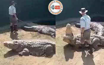 Crocodile Attack: खाना खिलाने गया था शख्स, क्रूर जानवर ने अचानक कर दिया हमला, फिर हुआ कुछ ऐस जिसे देख सब हो गये हैरन...