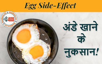 Egg Side Effects: रोजाना अंडा खाने अंडा खाने की आदत है तो हो जाइए सावधान, जितना फायदेमंद है उतना ही साइड इफेक्ट जानिए भी...