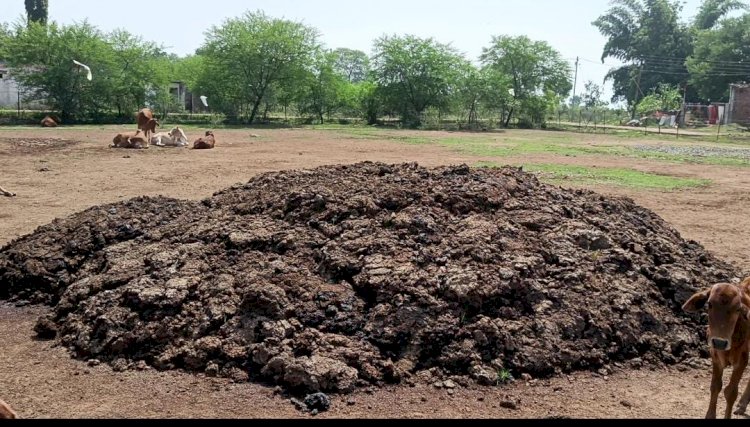 CG:छत्तीसगढ़ सरकार के जनकल्याणकारी - महत्वाकांक्षी योजना गोधन न्याय योजना में धांधली... साजा ब्लाक के ग्राम पंचायत माटरा के आश्रित ग्राम खपरीलोधी में गोबर घोटाला
