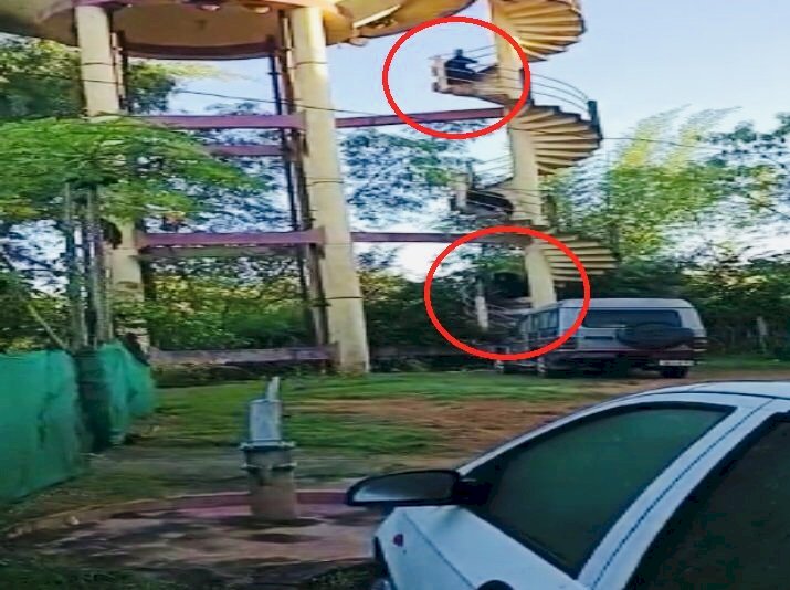 CG Bear Video शहद के लिए पानी टंकी पर चढ़े भालू….मधुमक्खी के छत्ते को तोड़कर खाई HONEY…भालू ने अपने पसंदीदा भोजन के लिए जो किया उसे देख हो जाएगे हैरान…देखे विडियो….