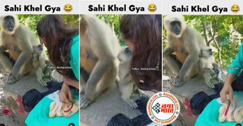 Langur Viral Video: लड़की और लंगूर साथ बैठे थे और अचानक लडकी ने कर दिया किस, उसके बाद जो नजारा सामने आया उसे देख सभी हुए हैरान- देखिए वीडियो....