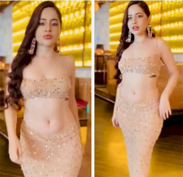 Urfi Javed Photo : न्यूड कलर का आउटफिट पहन उर्फी जावेद ने दिए पोज…पार की सारी हदें, इस बार न टॉप…बिना कपड़ों के ही उर्फी जावेद ने शेयर किया फ़ोटो, खोल दिया…फिर जो हुआ...देखे फोटो...