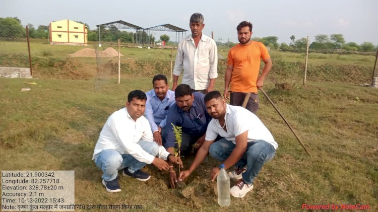कृष्ण कुंज मल्हार में सभापति जनपद सदस्य सरपंच और वन विभाग के अधिकारियों की उपस्थिति में विशिष्ट प्रजाति के गंगा बेर रोपे गए जाने क्या है इसकी विशेषता पढ़े पूरी खबर