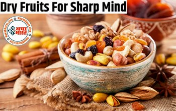 Dry Fruits For Sharp Mind : अगर चाहिए कंप्यूटर जैसा तेज दिमाग तो, आज ही खाना शुरू करें ये 5 ड्राई फ्रूट्स, जरूर बनाएं इसे अपने डाइट का हिस्सा...