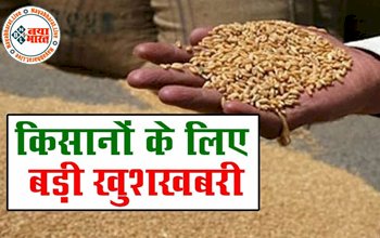 Crops MSP Increases:किसानों को दिवाली गिफ्ट, गेहूं समेत इन 6 फसलों के MSP में इजाफा, जानें कितनी बढ़ी कीमतें...देखे पूरी डिटेल्स...