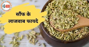 Fennel Seeds Powder with Warm Water: बहुत फायदेमंद है सौंफ का पानी, खून साफ करने से लेकर आंंखों की रोशनी तक को करता है ठीक...