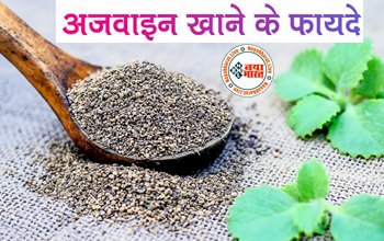 Health Benefits Of Ajwain : ठंड में अजवाइन पानी है फायदेमंद, पेट संबंधी समस्याओं से छुटकारा पाने करें अजवाइन का सेवन...जानिए इसके और भी गुण...