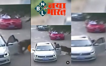 Lion Viral Video: कार में बैठ रही लड़की को अचानक से खींच कर ले गया शेर, होश उड़ा देगा ये वीडियो....