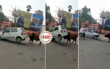Viral Video: कार को फुटबॉल की तरह हवा में उड़ाते हुए सांड ने किया ऐसा कारनामा....जिसे सोशल मीडिया पर देख सभी के छुटे पसीने- देखे ये वायरल VIDEO....