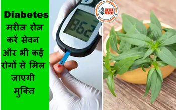 Control Sugar level: इस पौधे में पत्ती से लेकर जड़ तक भरा है इंसुलिन, Diabetes मरीज रोज करें सेवन और भी कई रोगों से मिल जाएगी मुक्ति...देखे सेवन करने का तरीका...