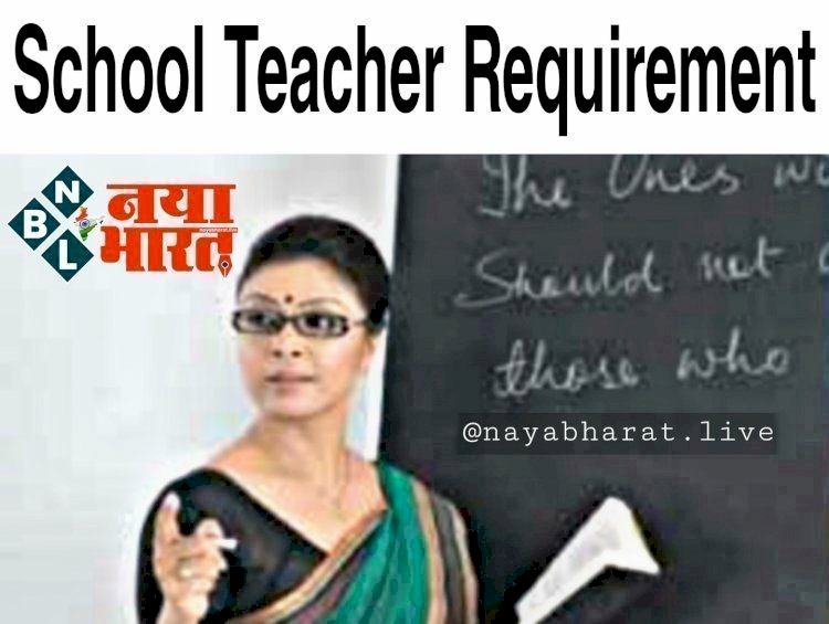 School Teacher Recruitment 2022 : प्राइमरी टीचर के 11765 पदों पर निकली है वैकेंसी ,ये रहेंगे नियम, जानें पात्रता और सैलरी,फटाफट करें आवेदन…