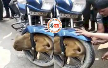 Bandar Ka Video: बंदर उछल कूद करता हुआ फंसा बाइक के पहिए में, लोगों की नजर जैसे पड़ी उसकी हालत देख अवाक रह गए सभी- देखें वीडियो