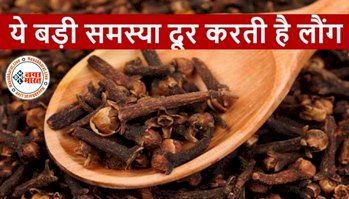Clove For Common Winter Health Issues : सेहत का खजाना है लौंग! छाती जाम हो जाए या गले में हो खराश, इसके इस्तेमाल से कुछ ही मिनटों में मिलेगी राहत, रोजाना रात में सिर्फ 2 लौंग खाएं और देखें इसके फायदे...