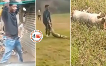 Viral Video:गर्भवती कुतिया के साथ कालेज छात्रों ने की बर्बरता, मानवता को शर्मसार करने वाला वीडियो हुआ वायरल....