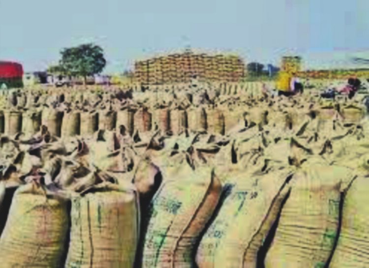 CG- 2 बिचौलियों पर कार्रवाई: खेत का धान कटा ही नहीं और बेचने पहुंच गए पति-पत्नी, किसान के खाते से अवैध धान खपाने की कोशिश, 42 क्विंटल जब्त.....