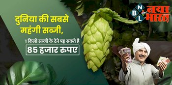 Hopshoots Vegetable: ₹ 85 हजार किलो मिलती है हॉप शूट्स सब्जी, ये हैं इसे खाने के फायदे और न्यूट्रिशन वैल्यू...