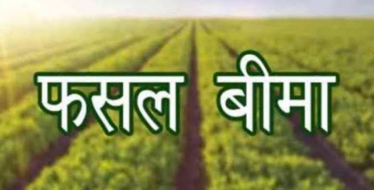 उद्यानिकी फसलों का बीमा 15 दिसंबर तक, पांच प्रतिशत देना होगा प्रीमियम....