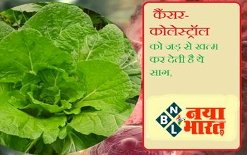 Health Tips: High Cholesterol, कैंसर को जड़ से खत्म कर देती है ये साग, चटनी या सलाद जैसे चाहें करें इस्तेमाल....