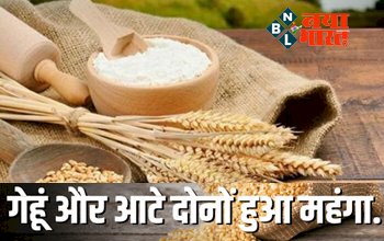 Wheat and Flour Rrices Rise: महंगाई ने एक बार फिर पकड़ी रफ्तार, गेहूं और आटे के भाव में लगातार बढ़ोतरी से लोग परेशान... एक्शन मोड में सरकार!