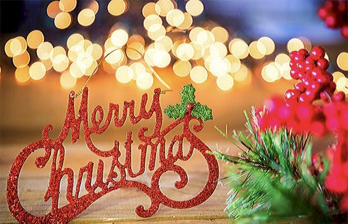 Christmas 2022: क्रिसमस ट्री आप भी लाते है घर तो जान लीजिए इसका फायदा और नुकसान, जाने 25 दिसंबर को क्रिसमस मनाने की मान्यता, महत्व…