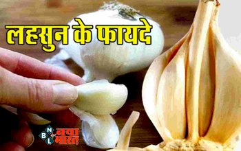 Garlic Benefits: सर्दियों में Garlic खाने से मजबूत होती है Imunity, जानें Garlic के फायदे.... इन बीमारियों से मिलेगी राहत...
.