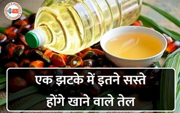 Edible Oil Price: अच्छी खबर! एक झटके में इतने सस्ते होंगे खाने वाले तेल, सरकार ने लिया फैसला, जानें कितनी कम हो जाएगी कीमत?