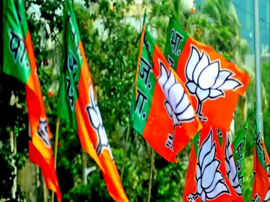 CG- BJP नियुक्ति BREAKING: भाजपा पिछड़ा वर्ग मोर्चा के प्रदेश पदाधिकारी, कार्य समिति व जिलों अध्यक्षों की घोषणा... देखें लिस्ट....