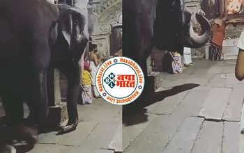 Viral Video: जब आरती के दौरान मंदिर के अंदर भक्ति में लीन हुए गजराज, Video देख आंखों पर यकीन नहीं कर पाए लोग...