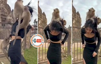 Bandar Ka Video: बन्दर को छेड़ना लड़की को पड़ा भारी, की ऐसी हरकत जिससे लड़की के ऊपर टूट पड़ी बन्दरो की पूरी फ़ौज- देखें वीडियो...