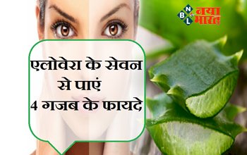 Benefits of Aloe vera: एलोवेरा का इस्तेमाल केवल खूबसूरती ही नहीं, सेहत के लिए भी फायदेमंद है, जाने इसके 4 गजब के फायदे....