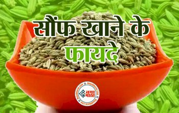 Boiled Saunf Water Benefits: सौंफ का पानी पीने से होता है ये चमत्कारी फायदे, जान कर आप भी हो जायेंगे हैरान...