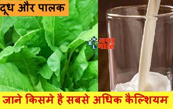 Milk and Spinach Nutrient Test : दूध और पालक का करते हैं सेवन, जाने किसमे है सबसे अधिक कैल्शियम, जानें क्या है सेहत के लिए ज्यादा हेल्दी...