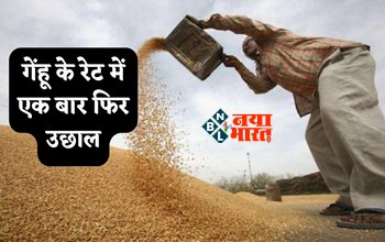 Wheat Flour Price: गेंहू के रेट में एक बार फिर उछाल! पूरे विश्व में हो गई है बड़ी कमी, ये है बड़ी वजह....