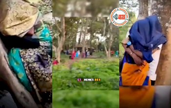 Boyfriend Girlfriend Viral : घने जंगल में हर पेड़ से चिपके मिले प्रेमी जोड़ा, घुमने गये लोग भी देख कर रह गये हैरान- देखें वीडियो...