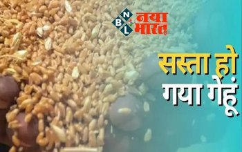 Wheat flour price down : खुशखबरी! सस्ता हो गया गेंहू.... सरकार ने घटाए गेंहू के दाम, आटा और भी होगा सस्ता, आम जनता को मिलेगी राहत...
