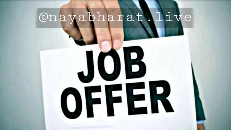 CG- जॉब: कंप्यूटर ऑपरेटर के 100 पदों पर भर्तियां, 12वीं पास के लिए मौका, इतनी मिलेगी सैलरी, डायरेक्ट इंटरव्यू इस तारीख को.....